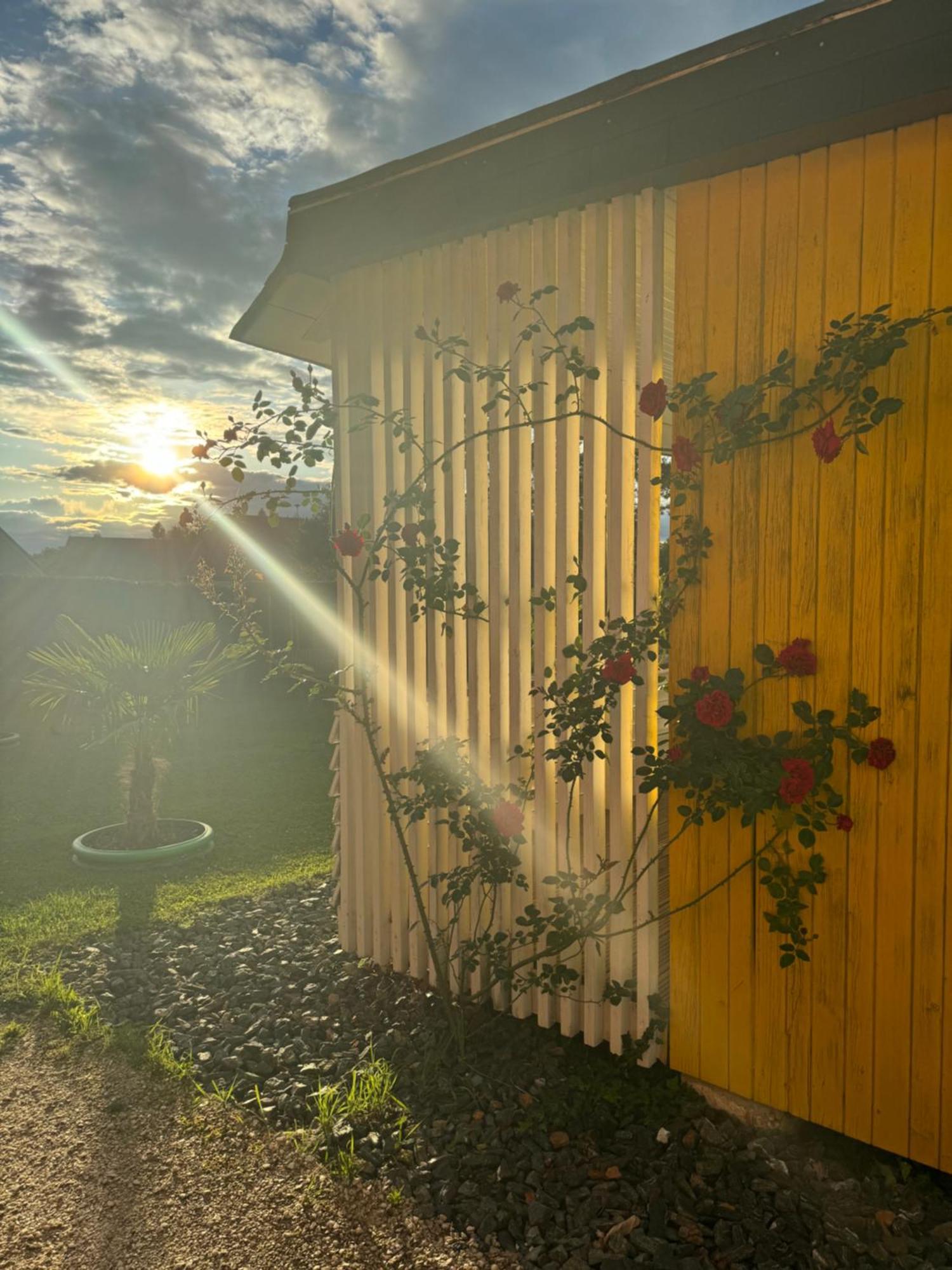 Bungalows Sonnenblume Am Klopeiner See ザンクト・カンツィアン エクステリア 写真